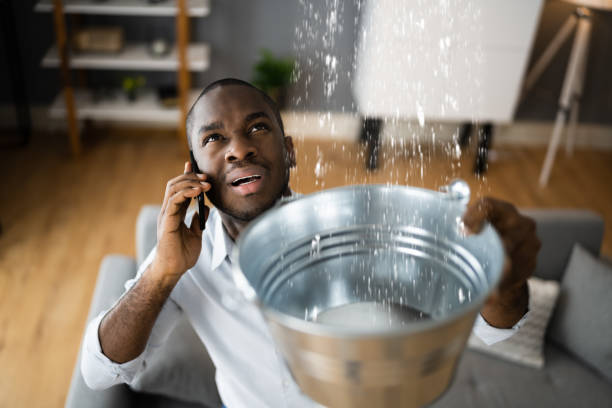 Best Water damage cleanup near me  in Dorr, MI