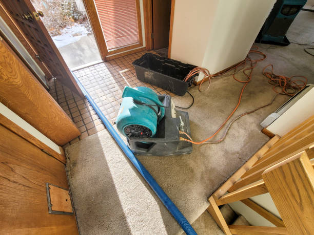 Best Water damage restoration near me  in Dorr, MI