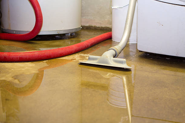 Best Emergency water damage restoration  in Dorr, MI