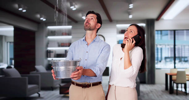 Best Professional water damage repair  in Dorr, MI